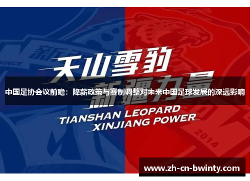 中国足协会议前瞻：降薪政策与赛制调整对未来中国足球发展的深远影响