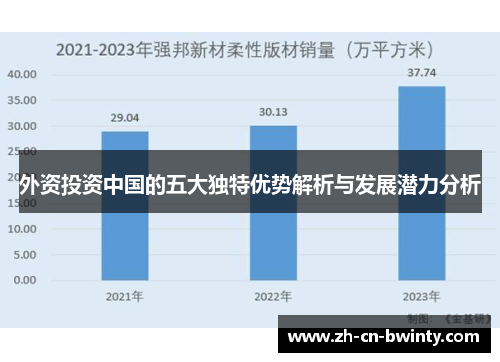 外资投资中国的五大独特优势解析与发展潜力分析