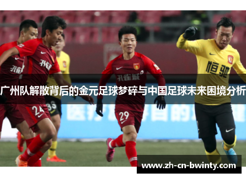 广州队解散背后的金元足球梦碎与中国足球未来困境分析