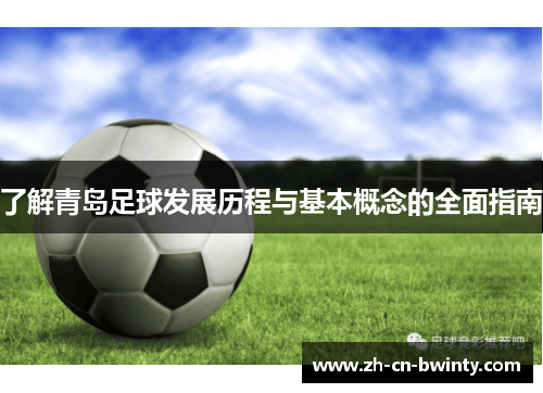 了解青岛足球发展历程与基本概念的全面指南